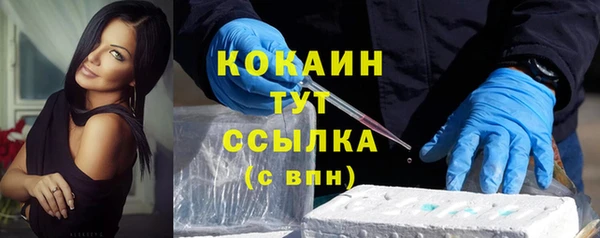 шишки Нея