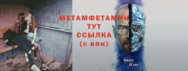 шишки Нея