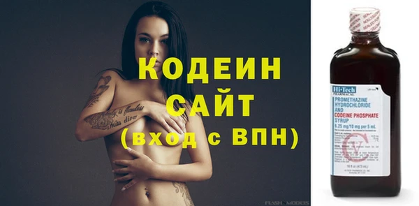 шишки Нея