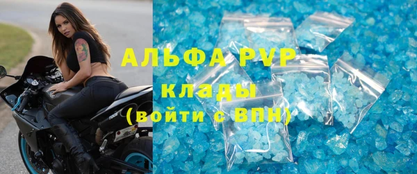 шишки Нея