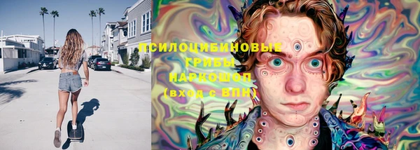 мдпв Няндома