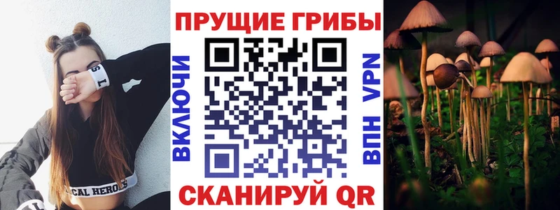 Галлюциногенные грибы GOLDEN TEACHER  Купить закладки  Калтан 